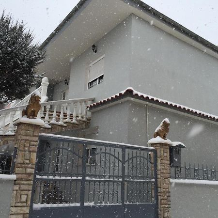 Vila Ridvani Корча Екстер'єр фото